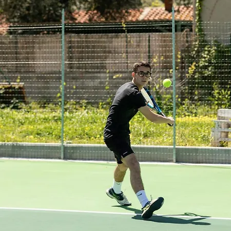 Bed and breakfast Cantine Cipri Palmi