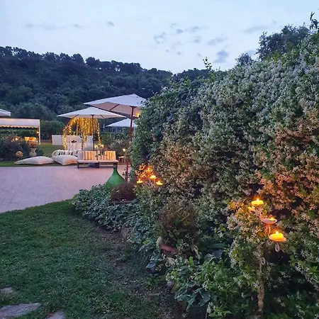 Frühstückspension Cantine Cipri Palmi