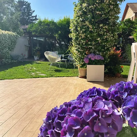 Frühstückspension Cantine Cipri Palmi