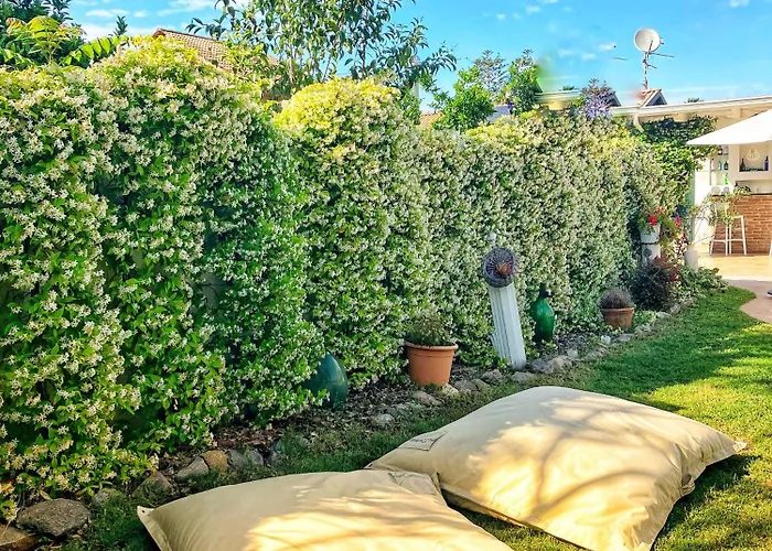 Cantine Cipri Bed & Breakfast Palmi